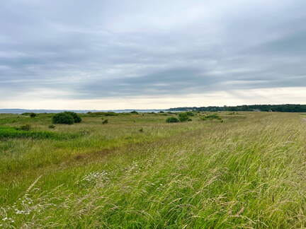 24-06-21 13-10-12 9750